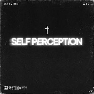 Self Perception (Explicit)