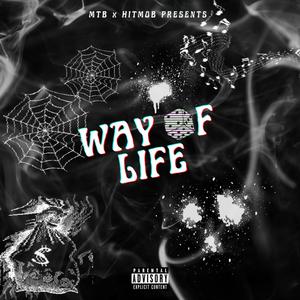 Way Of Life (feat. A1Presto) [Explicit]