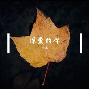 深爱的你