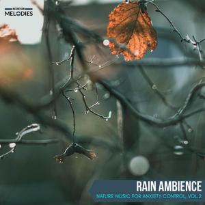 Rain Ambience - Nature Music for Anxiety Control, Vol.2