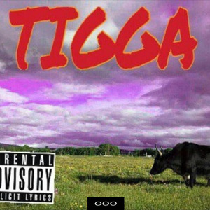 T.I.G.G.A.