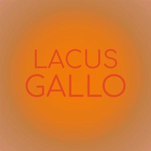 Lacus Gallo