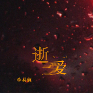 逝爱 (DJ可乐版)
