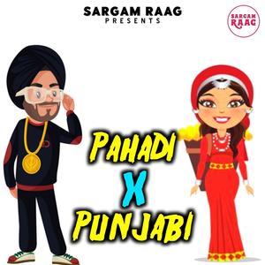 Pahadi X Punjabi (feat. Sameer Thakur)