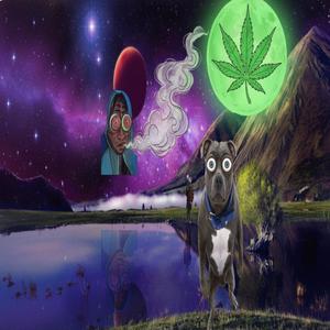 Insane (feat. Gvloy) (Explicit)