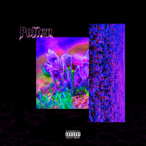 Pollen (Explicit)