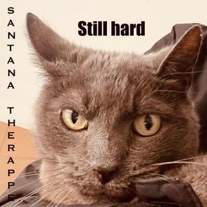 Still hard (Prod. COBRA) (Explicit)