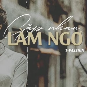 Gặp Nhau Làm Ngơ(Lofi)