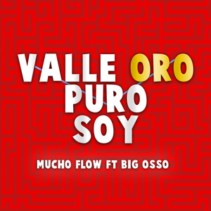 VALLE ORO PURO SOY