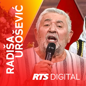 Radiša Urošević - Plave kose još me nose (Live)