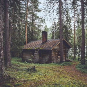 Cabin Fever with Jeffrey Swanson