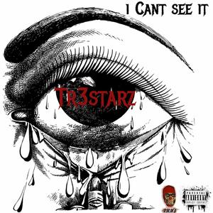 I Can't See IT (Song Cry) [Explicit]