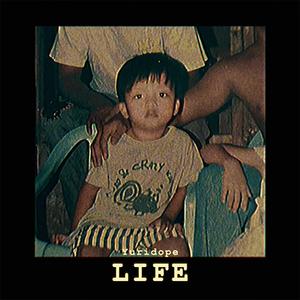 Life (Explicit)