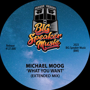 What You Want (Extended Mix)