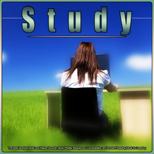 Study: The Best Studying Music and Nature Sounds, Study Playlist, Background Concentration and Ambient Reading Music for Learning