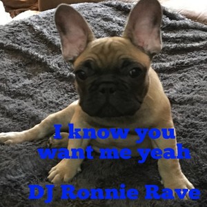 I Know You Want Me Yeah