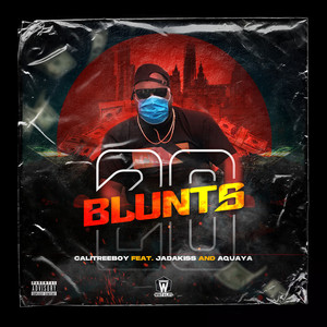 20 Blunts (feat. Jadakiss & Aquaya) [Explicit]