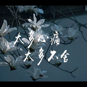 太多心痛太多不舍