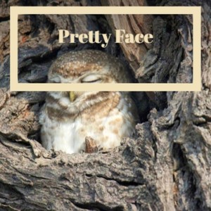 Pretty Face