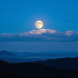 Whisper of the Night