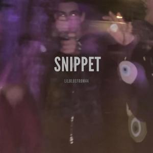 Snippet (Explicit)