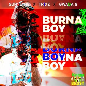 Burna Boy (feat. Trixx & Gwada G)