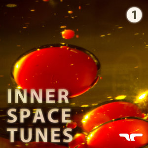 Inner Space Tunes, Vol. 1