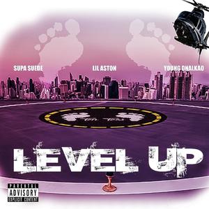 Level Up (feat. Supa SUEDE, Lil Aston & Young Dnalkao) [Explicit]