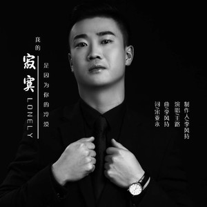 我的寂寞是因为你的冷漠