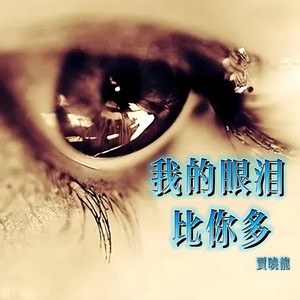 我的眼泪比你多