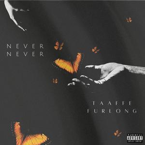 Never (feat. Furlong) (Explicit)