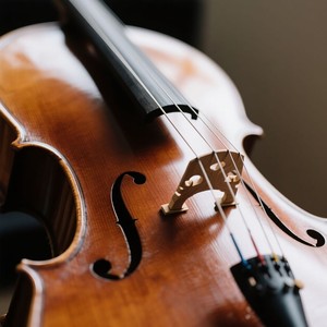 Peaceful Orchestra Cat Comfort