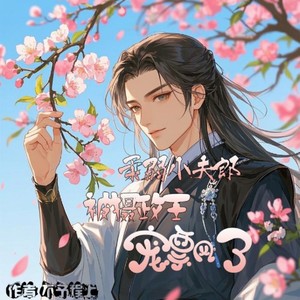 孔雀南飞——多人有声剧《柔弱夫郎被摄政王宠飘了》主题曲
