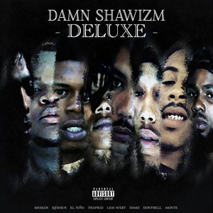 Damn Shawizm (Deluxe) [Explicit]