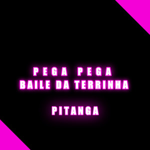 Pega Pega vs Baile Da Terrinha (Explicit)