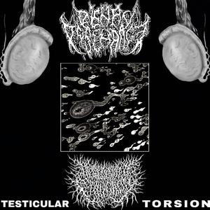 Testicular Torsion (feat. Desecrated Extinction)