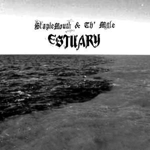 Estuary (Explicit)