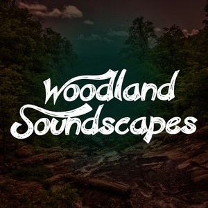 Woodland Soundscapes