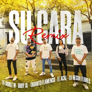 Su Cara (Remix)