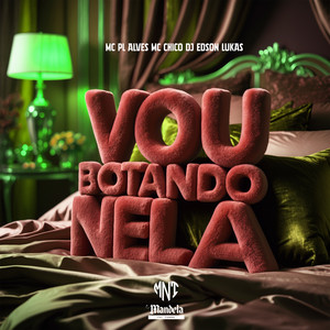 Vou Botando Nela (Slowed+Reverb) (Explicit)