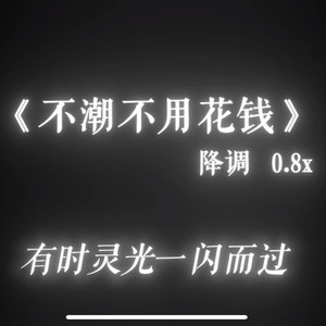 不潮不用花钱（0.8x氛围版）