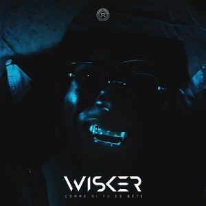 Comme si tu es bête (Explicit)