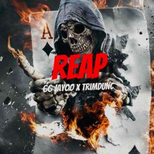 REAP (feat. TrimDunc)