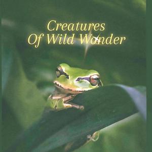 Creatures of Wild Wonders (feat. Duet EDM Dance)