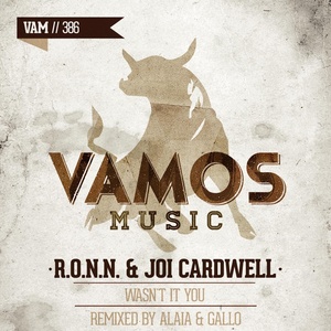 Wasn't It You (Alaia & Gallo Mix)