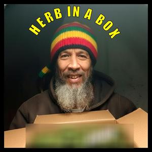 HERB IN A BOX
