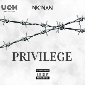 Privilege (Explicit)