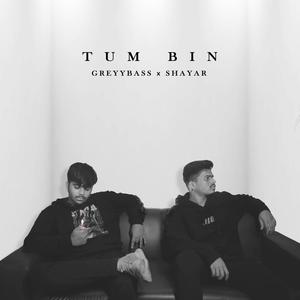 Tum bin(feat. Shayar & Greyybass)