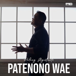 Patenono Wae