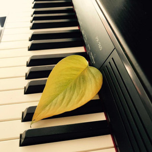 李欣儒 - The First Snowflakes (初雪) (Inst.)